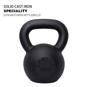 45lb×1piece Powder Coated Cast Iron Kettlebell for Men and Women's Gym, Same Family Kettlebell