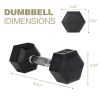 10LB 1-Pair(2pieces)HDRS Rubber Coated Solid Cast Iron Dumbbell with Contoured Chrome Handle, Hexagon