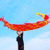 3 Meters (9.8 FT) Golden Scale Silk Dragon POI Outdoor Flinging Wind Spinners & Fitness Dragon Dance Wu Long 3D dragon Ribbon Streamer with Fiberglass