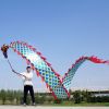 Lightweight Dragon Poi with 3D Dragon Head & Swing Rope Combo for Kids and Beginners