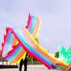 19.6ft Washable Silk-like Dragon Poi for Kids & Adults, 6 meters of Outdoor Flinging Fitness Dance with 3D Rainbow Color Dragon Ribbon Streamer Set