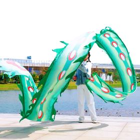 19.6ft Washable Silk-like Dragon Poi for Kids & Adults, 6 meters of Outdoor Flinging Fitness Dance with 3D Rainbow Color Dragon Ribbon Streamer Set (Color: Green Phoenix)