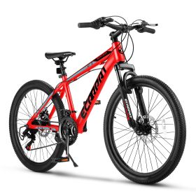 Bicycle A24299-RED (Color: Red)