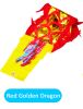 3 Meters (9.8 FT) Golden Scale Silk Dragon POI Outdoor Flinging Wind Spinners & Fitness Dragon Dance Wu Long 3D dragon Ribbon Streamer with Fiberglass